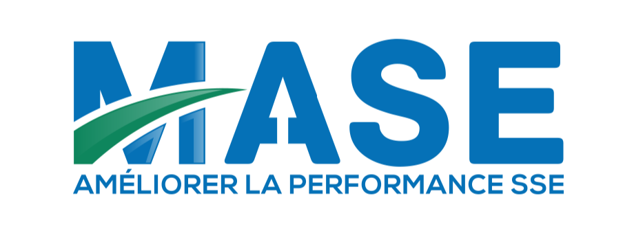 MASE logo Management global de sûreté-sécurité